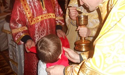 Празднование Рождества Христова